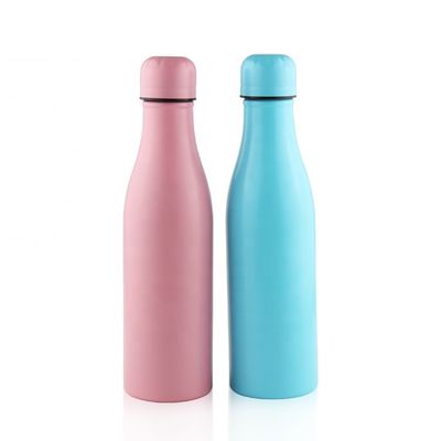 500ml Druk van het volume de Roestvrij staal Geïsoleerde Fles Aangepaste Embleem